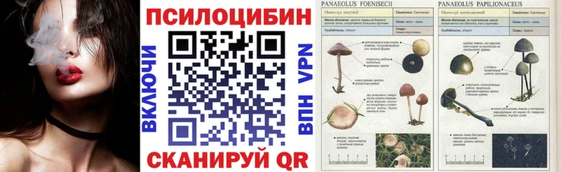 Псилоцибиновые грибы мухоморы  Берёзовский 
